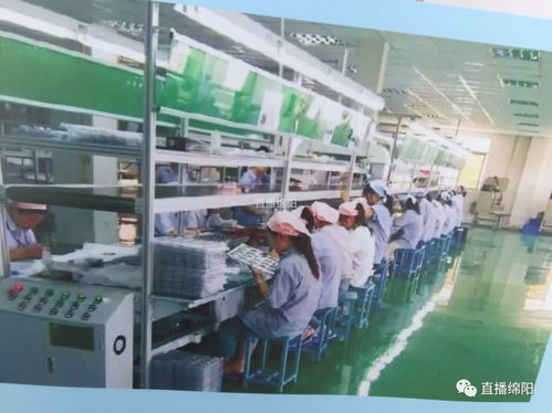 全市项目投资现场会 投资项目各具 气质 集中检阅 美出绵阳特色