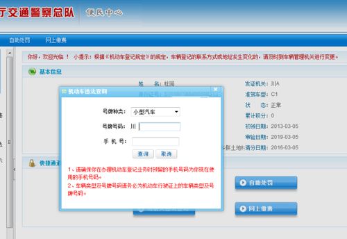 绵阳市交通违章查询网站指南与开发要点
