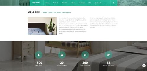 蒲江阁水晶产品外贸网站建设与绵阳网站开发策略