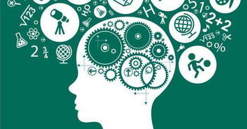 幻觉记忆背后的真相及其在绵阳网站开发中的应用