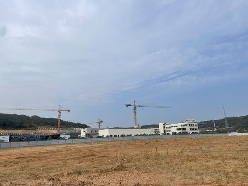 从实验样品到市场产品 绵阳核医学产业迈向百亿目标——新型工业化市州行报道