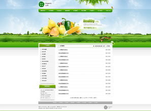 绵阳绿色食品网站开发 构建健康与科技融合的电商平台